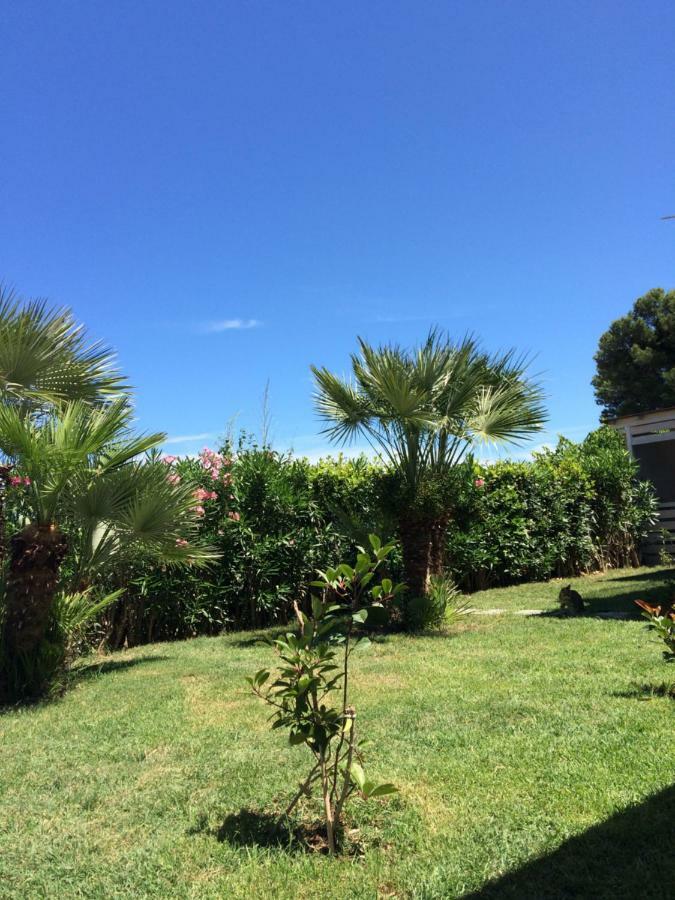 Bed and Breakfast La Conchiglia villino Cecilia Civitanova Marche Esterno foto