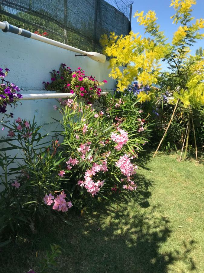 Bed and Breakfast La Conchiglia villino Cecilia Civitanova Marche Esterno foto